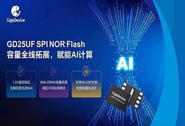 ���״���GD25UFϵ������ȫ����չ����1.2V���͹��Ĵ�