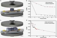 ����3D��ӡ��ֽ�ṹѹ��������������ѹ�����ʵ�ַ���