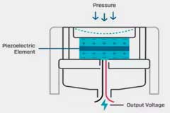 ѹ�����������