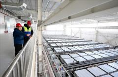 ����������y��늾W���U̼�����վͶ�\