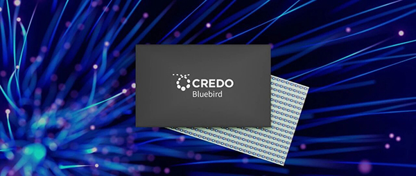 Credo发布专为低功耗、高带宽与超低时延的AI网络打造的Bluebird 1.6T光DSP芯片